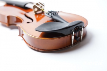 Viorin VL80 分数サイズ  3/4 set [お取り寄せ商品]