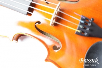 Viorin VL80 分数サイズ  3/4 set [お取り寄せ商品]