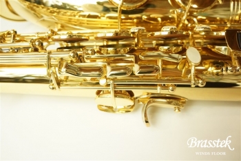 TenorSax Standard Series GL ★すぐに吹ける入門セット付★