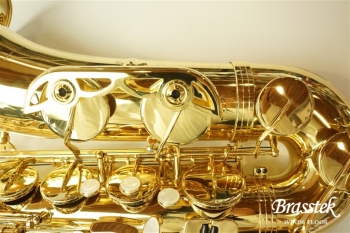 TenorSax Standard Series GL ★すぐに吹ける入門セット付★