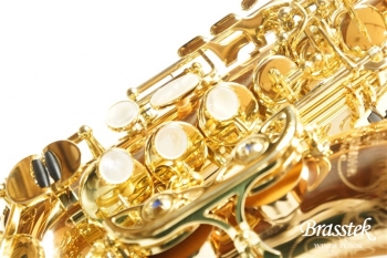 CurvedSopranoSax　 SC-WO20