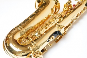 AltoSax YAS-875EX