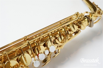 Alto Saxophone YAS-875EX 選定品