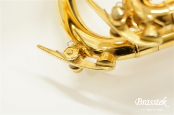 B♭Trumpet Impluse Light 