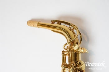 Alto Saxophone SX GL