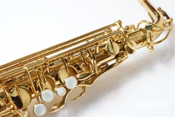 Alto Saxophone SX GL