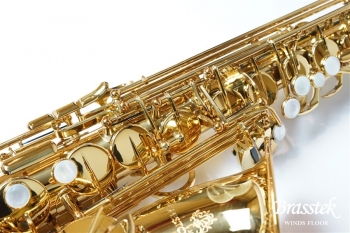 Alto Saxophone SX GL