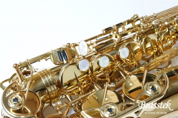 Alto Saxophone SX GL