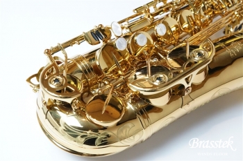 Alto Saxophone SX GL