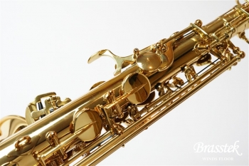 Alto Saxophone SX GL