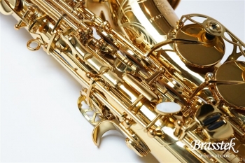 Alto Saxophone SX GL