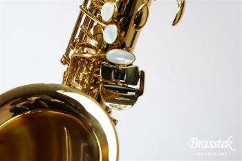 Alto Saxophone SX GL