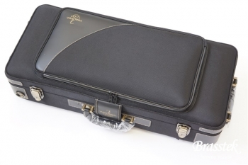 Alto Saxophone  A-WO2 【入門セット】