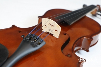 Vaiolin set No.10 4/4【入門セット】