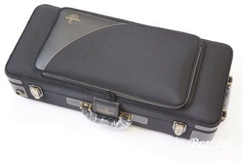 Alto Saxophone  A-WO2