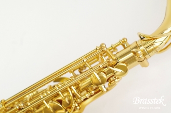Alto Saxophone A - WO 1    Yellow Brass Body
