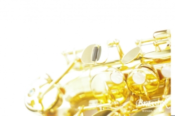 Alto Saxophone A - WO 1    Yellow Brass Body