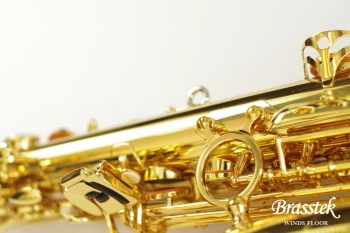 Alto Saxophone A - WO 1    Yellow Brass Body