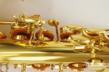 Alto Saxophone A - WO 1    Yellow Brass Body