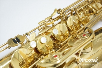 Tenor Saxophone   T-901