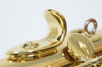 Soprano Saxosphone S-WO1
