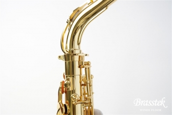 Alto Saxophone YAS-280