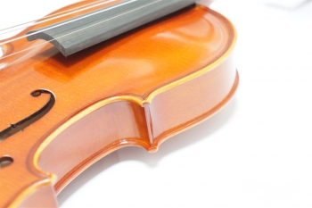 Viorin VL80 分数サイズ  1/2 set [お取り寄せ商品]