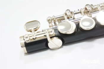 Piccolo 650/3 E,Gisメカニズム付き 【菅原 潤氏選定品】［お取り寄せ商品］