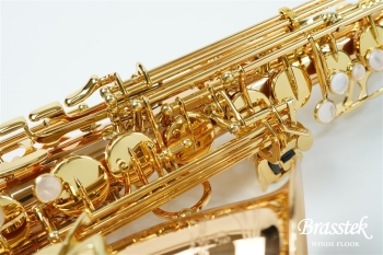 Alto Saxophone A - WO 2 【入門セット】