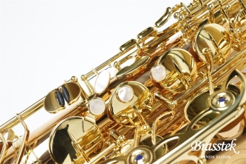 Tenor Saxophone T-WO20【お取り寄せ商品】