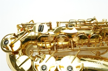 Alto Saxophone A-50