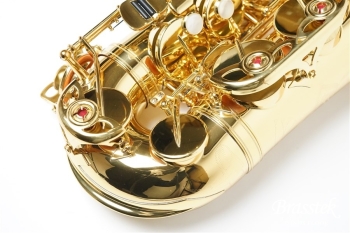 Alto Saxophone Custom YAS-875EX