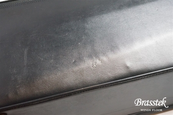 Alto Saxophone Custom YAS-875EX