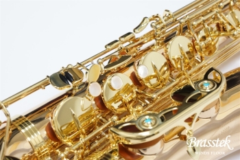 Tenor Saxophone  T-WO2