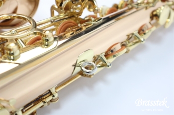 Alto Saxophone  A-WO2