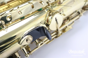 Alto Saxophone SA80 SERIEⅡ