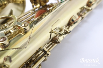Alto Saxophone SA80 SERIEⅡ