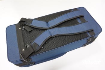 Alto Saxophone BC8101