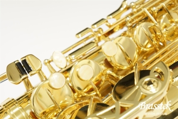 Alto Saxophone BC8101