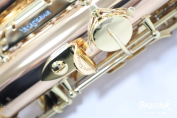 Alto Saxophone  A-WO2