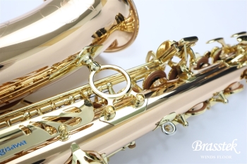Alto Saxophone A-WO20