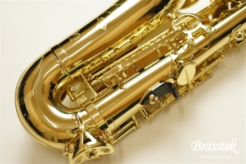 Alto Saxophone Axos