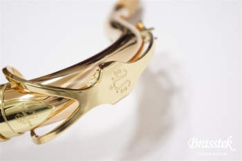 Tenor Saxophone  T-WO2