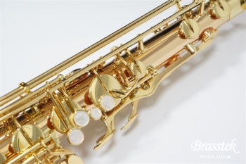 Tenor Saxophone  T-WO2