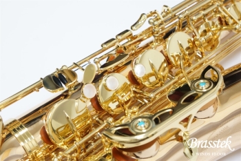 Tenor Saxophone  T-WO2