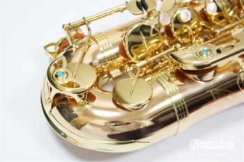 Tenor Saxophone  T-WO2