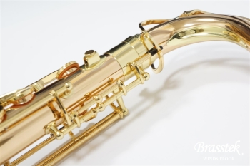 Tenor Saxophone  T-WO2