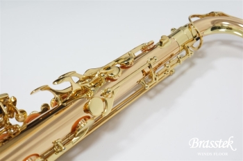Tenor Saxophone  T-WO2