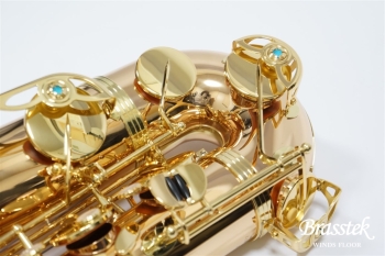 Tenor Saxophone  T-WO2