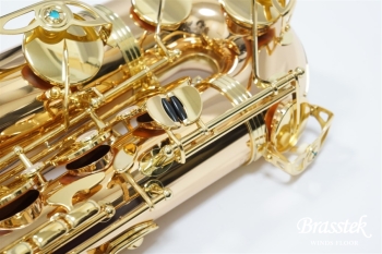 Tenor Saxophone  T-WO2